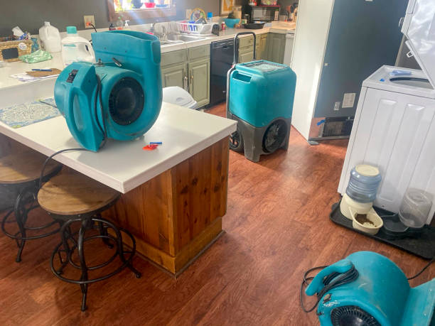 Best Water damage restoration near me  in Gulf Park Estates, MS