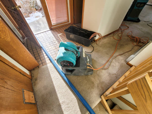 Best Water damage restoration insurance claims  in Gulf Park Estates, MS