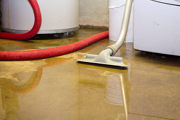 Water damage restoration insurance claims in MS