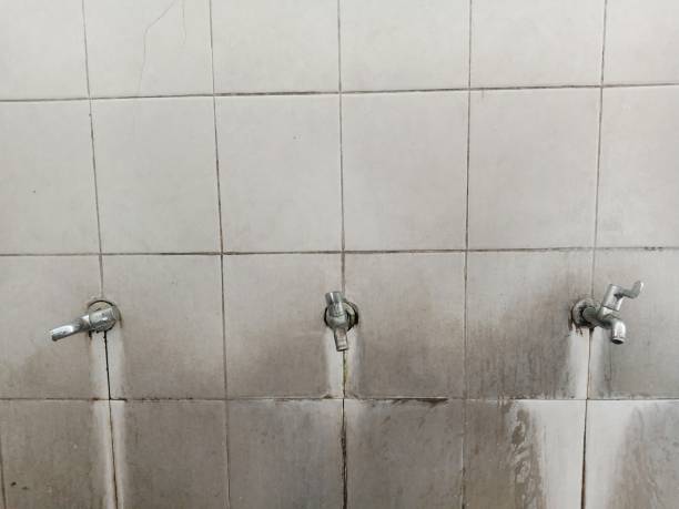 Best 24-hour water damage restoration  in Gulf Park Estates, MS